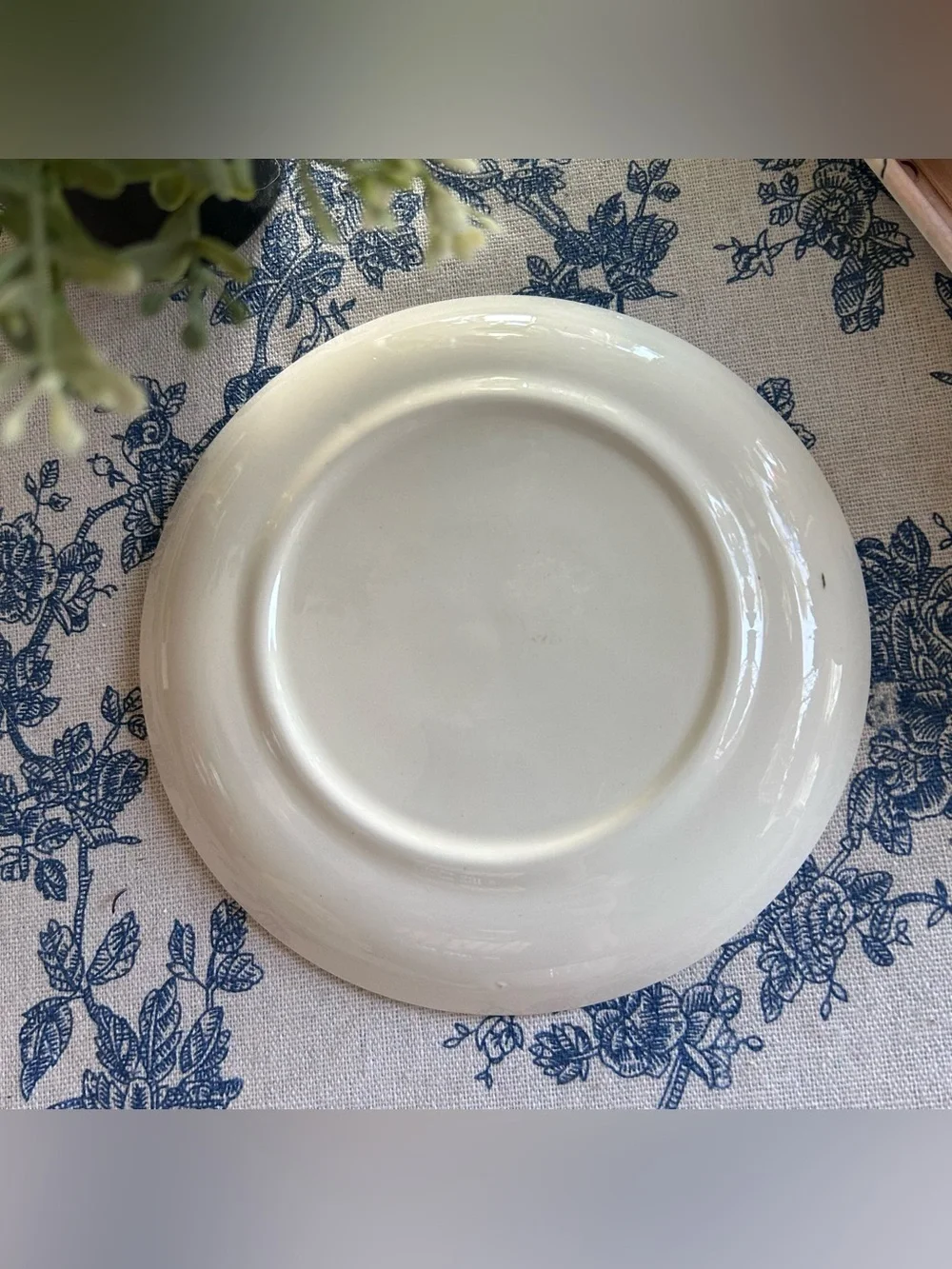 “Dixie Dogwood” Cup and Saucer Set